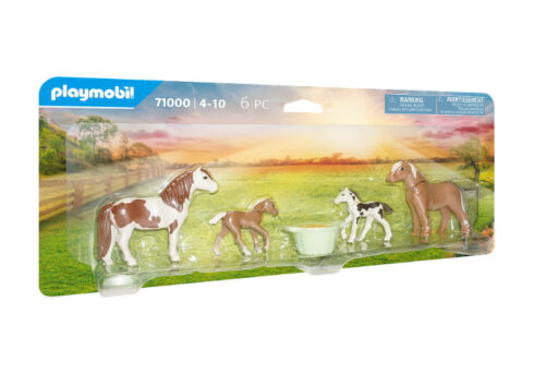 71000 2 Ponis islandeses con potro