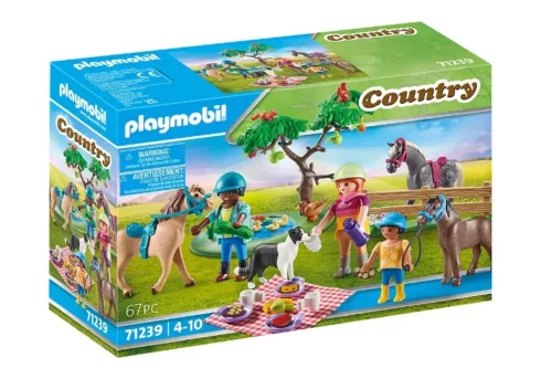 71239 Excursión de picnic con caballos